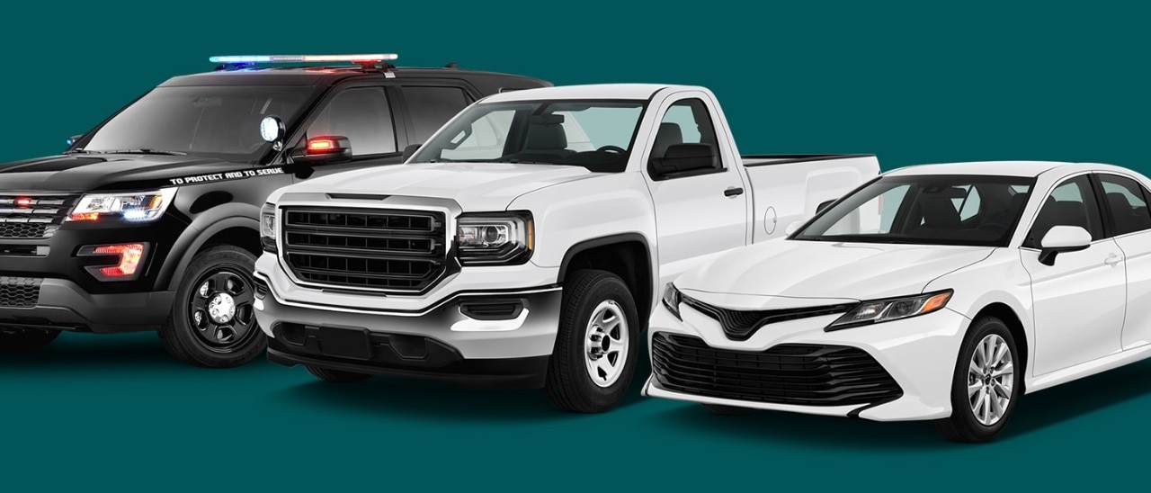 Government fleet
